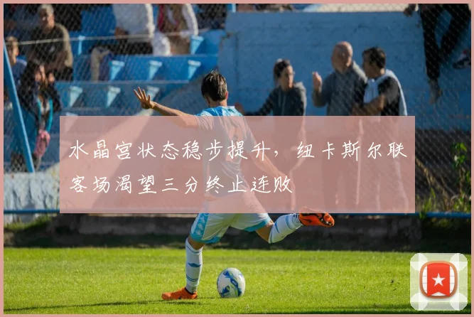 水晶宫状态稳步提升,纽卡斯尔联客场渴望三分终止连败