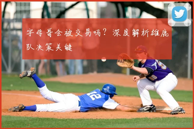 字母哥会被交易吗？深度解析雄鹿队决策关键