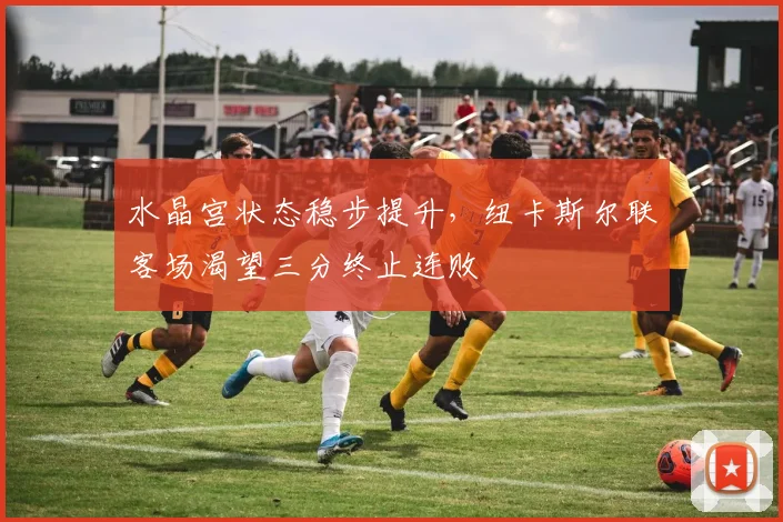 水晶宫状态稳步提升,纽卡斯尔联客场渴望三分终止连败